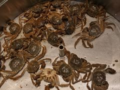 -欢乐牧场海鲜烤肉自助(牡丹园店)