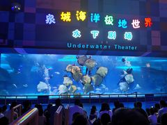 -泉城欧乐堡海洋极地世界
