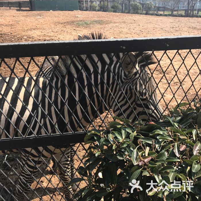 無錫動物園·太湖歡樂園