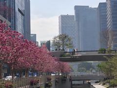 -深圳湾万象城(南山店)