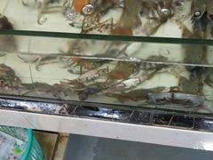 -宋船渔栈(白沙店)