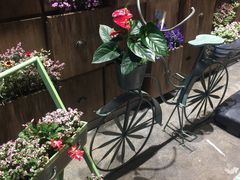 -花海牛火锅(泰合店)