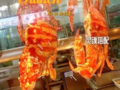 -欧记·龙城港(欣都龙城店)