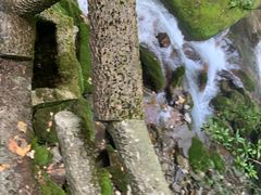 -神农架香溪源景区