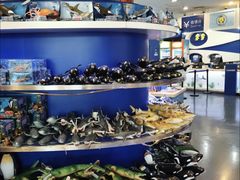 -上海海洋水族馆