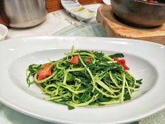 鸡毛菜-北京老铺烤鸭(高新店)