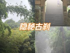 -缙云山景区