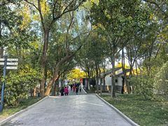 -溱湖国家湿地公园