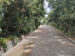 -山东大学(威海校区)