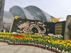 -南山植物园