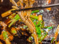-费明中罗非鱼(大石坝店)