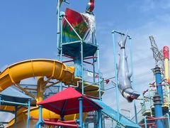 -苏州乐园森林水世界