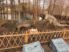-顾村公园