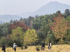 -塔川景区
