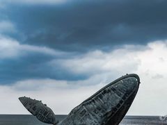 -烟台金沙滩海滨公园
