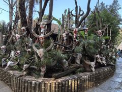 -云南民族村