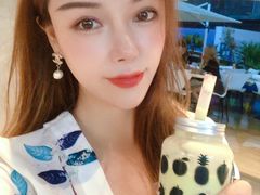 -野萃山·潮汕厚果汁(十亩地店)