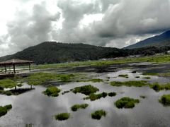 景点-腾冲北海湿地
