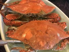 -浩运·海鲜青岛菜·海胆水饺(石老人店)