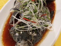 清蒸珍珠斑-潮人姐妹轩(海宁路店)