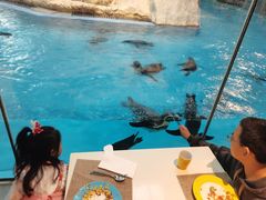 -帝企鹅自助餐厅•儿童岛•真企鹅(长隆企鹅酒店)