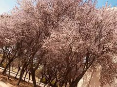 -宿迁学院