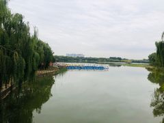 -大兴滨河森林公园