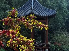 -云溪植物园