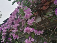 -水乡人家私房菜(逢简店)