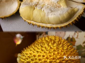报恩榴莲！上辈子一定是拯救了榴莲