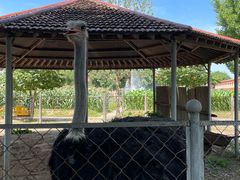 -意大利农场度假村