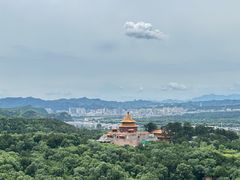 -磬锤峰森林公园