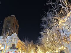 -马迭尔商务会馆(中央大街店)