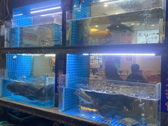 -浔味·山屿湖·正宗淳牌全鱼宴老字号
