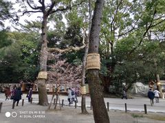 -热田神宫