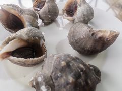 白灼红螺-海门岛七号餐厅