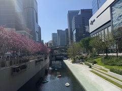 -深圳湾万象城(南山店)