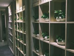 -正清和·推拿养生(黑石礁中心店)