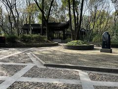 -上海佘山国家森林公园天马山园