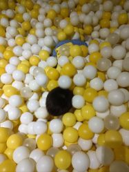 -宝燕乐园(闵行旗舰店)