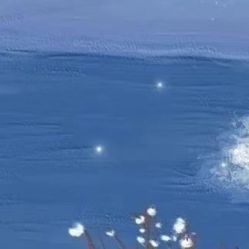 -凡碧诗毛孔收细