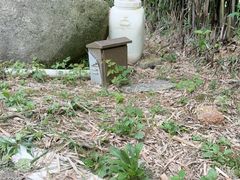 -山湖温泉