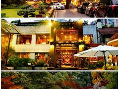 -申粤轩酒楼·三十年粤菜经典(丁香花园店)