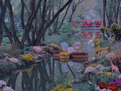 -上海共青森林公园