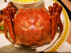 -王宝和酒家(黄浦店)