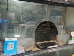 -阿布拉的馕(西北路店)
