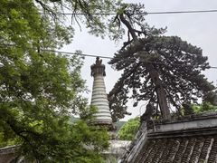 -潭柘寺景区