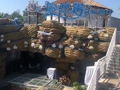 -瑞德姆美人鱼海底演艺主题餐厅(亚龙湾店)
