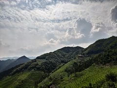 -紫鹊界梯田景区