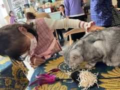 -平行世界·猫咖(首经贸店)